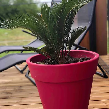 Atypique Proche Portbail Denneville Saint-Lo-d'Ourville