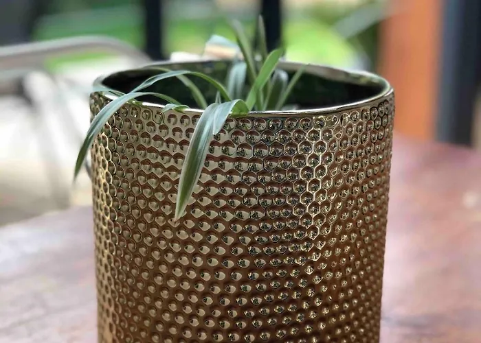 Atypique Proche Portbail Denneville * Saint-Lo-d'Ourville