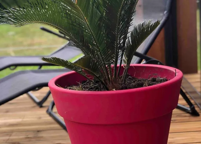 Atypique Proche Portbail Denneville Saint-Lo-d'Ourville